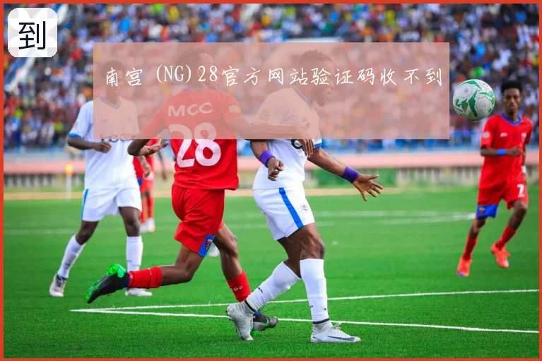 南宫 (NG)28官方网站验证码收不到
